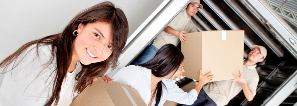 Professional Removalists Templestowe